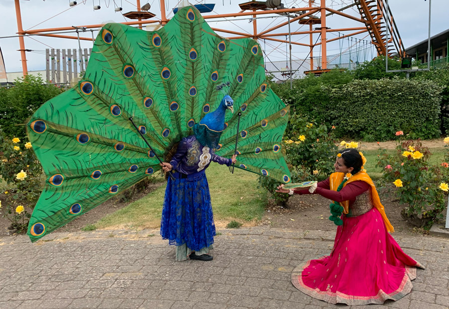 Princess and peacock image